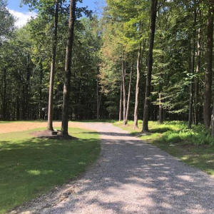 NEW LOT LISTING IN TREASURE LAKE FOR $12,500! The private lot is cleared, graded, and seeded, with utilities and gravel driveway already at the property. All that is missing is your dream home! Call Laura Clary at 814-375-1102 ext 435 or mobile 814-7 photo