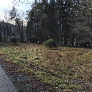 NEW LAND LISTING IN CURWENSVILLE FOR ONLY $34,000! Rare opportunity to own 1.5 acres close to town! Lot is partially wooded and tucked away on a dead-end street with utilities available. Call Brandee Zook at 814-375-1102 ext 432 or mobile 814-715 photo