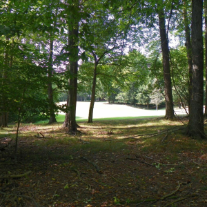 NEW GOLD GOLF COURSE LOT LISTING FOR $36,000! Incredible opportunity to purchase a cul-de-sac lot on the 12th fairway of the Gold Course. Don't miss this opportunity to! Call Heather Long at 814-375-1102 ext434 or mobile 814-771-8813 for more infor photo